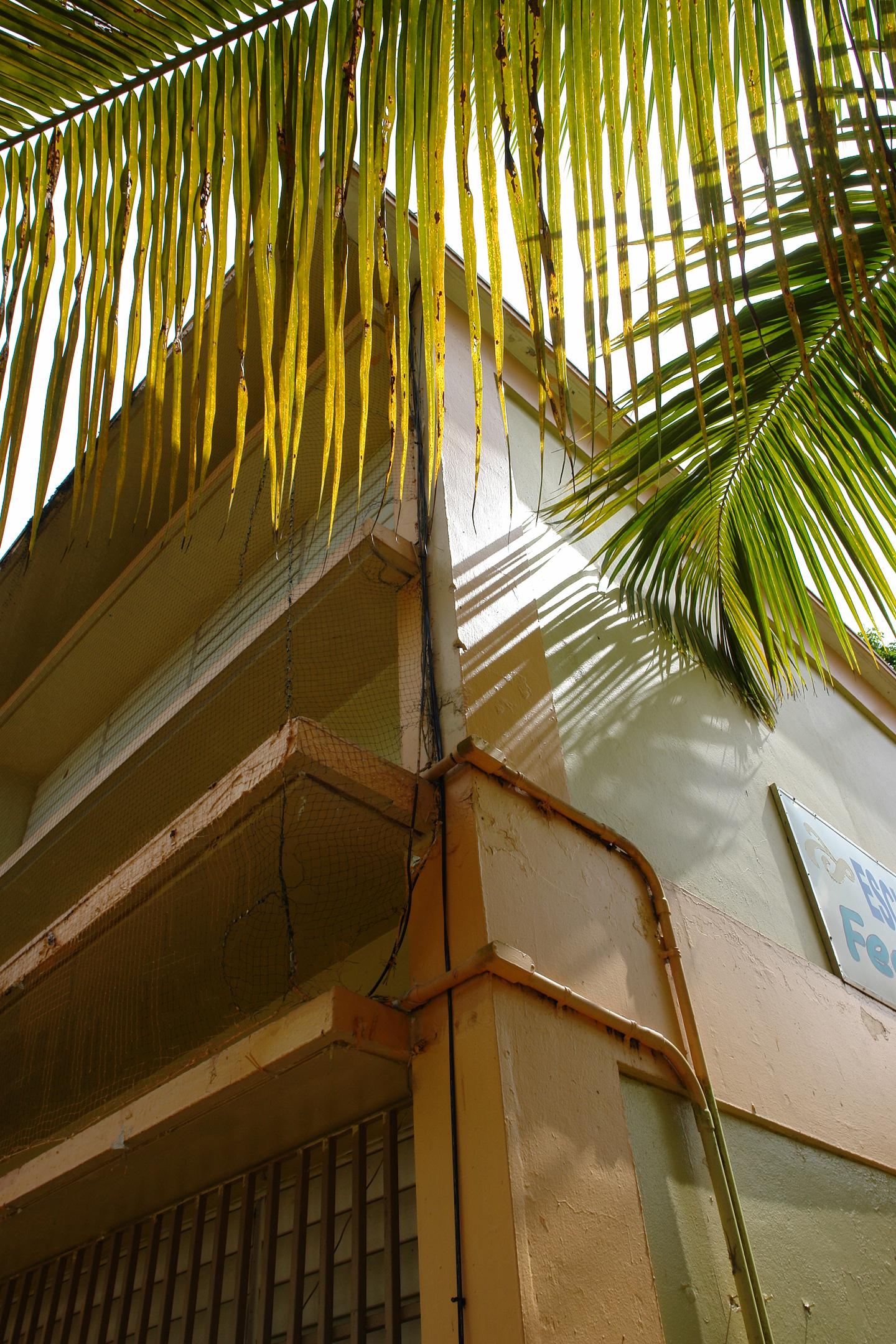 FDII - Aibonito - 2010 00028